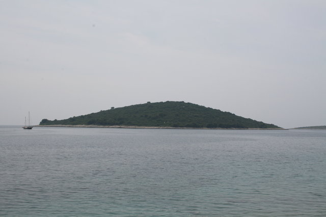 gal/cro 08/small-IMG_4567.JPG